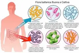 Dottoressa-Berlinghieri-Cristiana- Test-MICROBIOTA-Completo